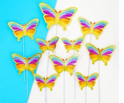 Golden striped rainbow butterfly