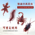 Mini Rubber insect - Image 11