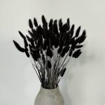 Rabbit tail grass dry flower - 1piece