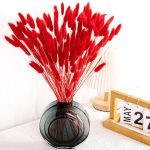 Rabbit tail grass dry flower- Red (10p)