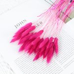 Rabbit tail grass dry flower - 1piece - Image 5