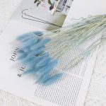 Rabbit tail grass dry flower - 1piece - Image 6