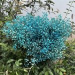 Dry flower branch 1p packet - Image 4