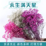 Dry flower branch 1p packet - Image 6