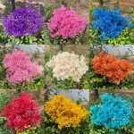 Dry flower branch 1p packet