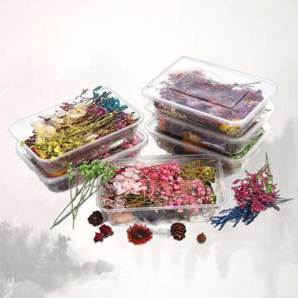 Dry flower multi box