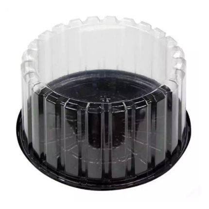 Plastic Cake box 8