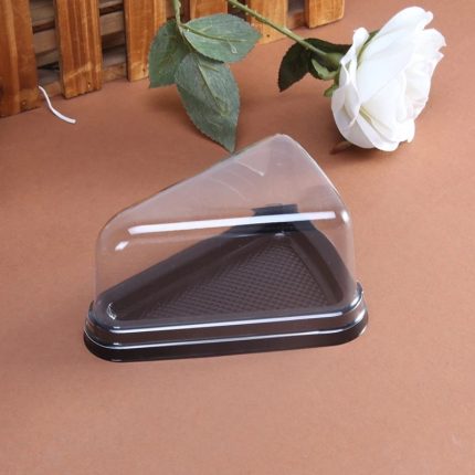 Triangle Pastry Box plastic